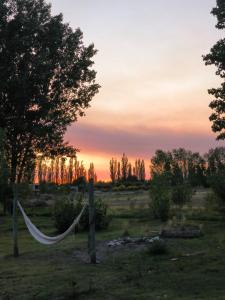 a hammock in a field with a sunset in the background at Vivac Camp in San Rafael