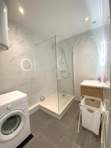 y baño con lavadora y ducha. en Magnifique T2 40m2 lumineux, moderne et rénové avec fibre en Belfort