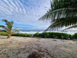 a palm tree on a beach with the ocean at Mahana Tua Lodge Huahine in Puahua
