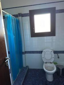 a bathroom with a toilet and a window at Villa_Kleio in Litochoro