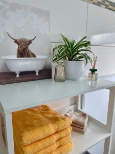 a bathroom with a dog in a bowl on a counter at Schwarzwaldliebe Ferienzimmer mit Bad in Gaggenau