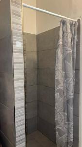 a shower with a shower curtain in a bathroom at Apartment 70 m² drei Personen Prag kourimka 30 in Prague