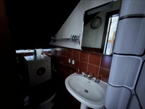 La salle de bains est pourvue d'un lavabo et d'un miroir. dans l'établissement Appartamento Patascoss, à Madonna di Campiglio