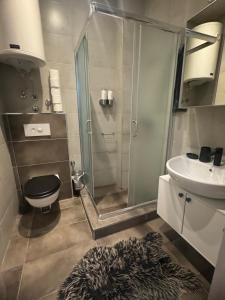 a bathroom with a shower and a toilet and a sink at IN Apartman, Župa Kopaonik in Kopaonik