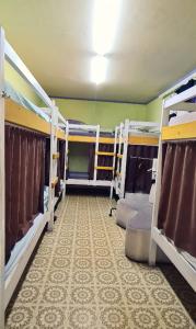 a room with several bunk beds in a room at Roots Hostel in Chişinău