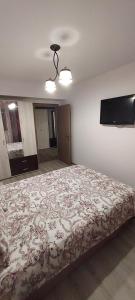 a bedroom with a bed and a flat screen tv at Warm Apartament Nou in Bacău