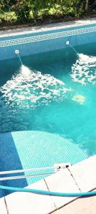 uma piscina com água azul e uma rede em Cvrkut Ptica 1 em Mladenovac