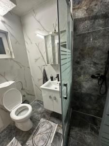 a bathroom with a toilet and a sink and a shower at Lavanda Apartman in Novi Pazar +8 photos