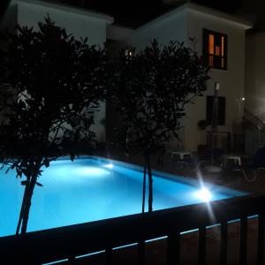 ein Schwimmbad in der Nacht mit Bäumen im Vordergrund in der Unterkunft Seashell Apartments in Paphos City