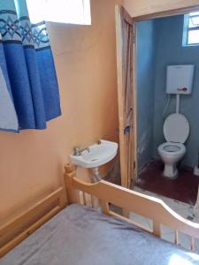 a bathroom with a toilet and a sink at Sam & Miriam's Homestay in Nakuru