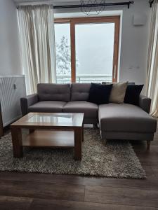a living room with a couch and a coffee table at Apartmán Kľak in Fačkov