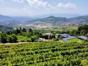a view of a vineyard in the hills at Hedona vineyard apartment in Sarajevo