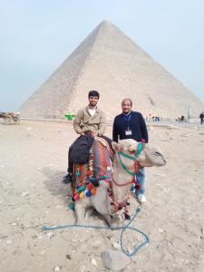 Gestir sem dvelja á Badr pyramids view