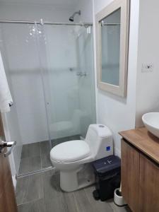 馬尼薩萊斯的住宿－Apartamento FL Martinz，浴室配有卫生间、淋浴和盥洗盆。