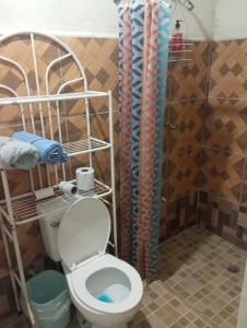 a bathroom with a toilet and a shower at Hostal EL VALLE in Los Algarrobos