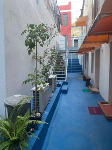 einen Flur mit Treppen und Topfpflanzen an der Seite eines Gebäudes in der Unterkunft A Casa dos Mestres in Salvador