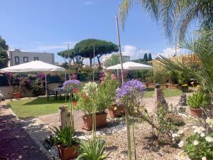 テッラチーナにあるIl Giardino Di Adriana B&Bの鉢植えの植物と傘を植えた庭園