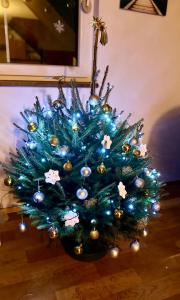 a blue christmas tree sitting on the floor at Apartmán U Tří smrků in Boží Dar