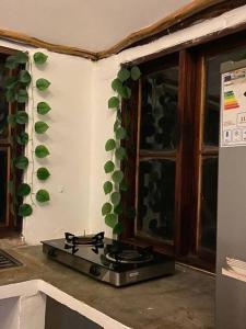a kitchen with a stove with green decorations on the wall at Cottage in Arusha-Wanderful Escape in Arusha