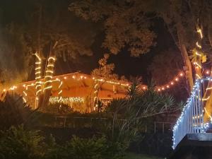 una casa decorada con luces de Navidad por la noche en CASA XOCOMIL, en Cerro de Oro