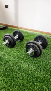 a group of four dumbbells on the grass at La Terraza departamentos 201 in Cuenca