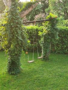 deux balançoires suspendues à un arbre dans un jardin dans l'établissement LA CASA DI GIM, à Lugo
