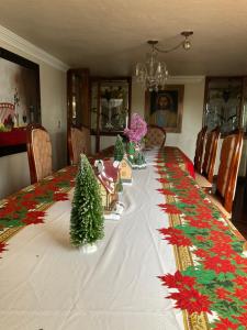 uma mesa longa com decorações de Natal em Casa Juan Gabriel em El Castillo