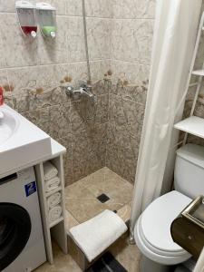 a bathroom with a shower with a toilet and a sink at Уютная комната-студия в центре Бишкека in Bishkek