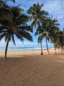 two palm trees on a sandy beach with the ocean at Afiki in Ankwanda