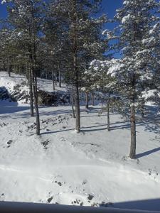 Apartman Maksimović Divčibare взимку