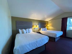 ein Hotelzimmer mit 2 Betten und einem Fenster in der Unterkunft SureStay by Best Western Chambers Petrified Forest in Chambers