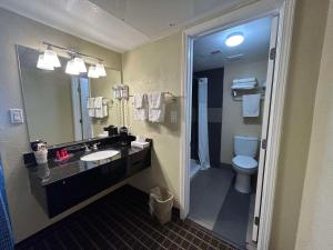 a bathroom with a sink and a toilet and a mirror at SureStay by Best Western Chambers Petrified Forest in Chambers