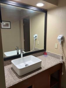 a bathroom with a sink and a large mirror at SureStay Plus by Best Western Mobile I-65 in Mobile