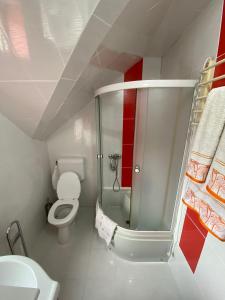 uma pequena casa de banho com WC e chuveiro em Cosy bedroom for 2 with Balcony in a Family Villa em Turnu Măgurele