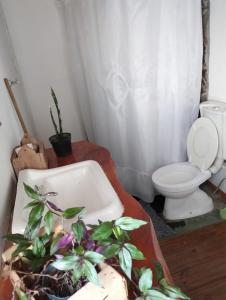a bathroom with a toilet and a sink with plants at Las Chuñas in Villa Yacanto