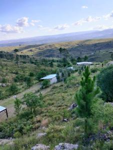 una vista de un campo con un árbol en una colina en Las Chunas en Villa Yacanto