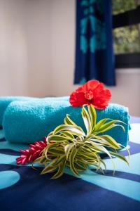 una flor roja sentada sobre una mesa azul en Matira Beach Raitea 1, en Bora Bora