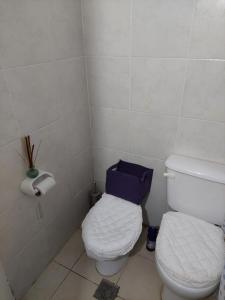 ein Bad mit einem WC und einem blauen Beutel darauf in der Unterkunft CASA YERBA BUENA TUCUMAN in Yerba Buena