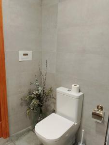 baño con aseo y planta en la pared en Cal Massana, en Sant Guim de la Plana