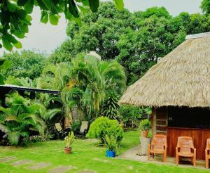 domek z krzesłami i trawiastym dachem w obiekcie Hostal Casa Mauro w mieście Moyogalpa
