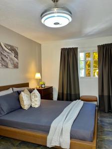 a bedroom with a large bed with blue sheets and pillows at Profil Bois Pin 