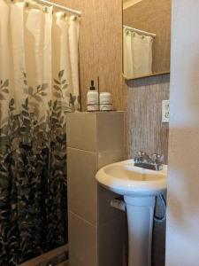 a bathroom with a sink and a shower curtain at Estudio Bengala in San José del Cabo