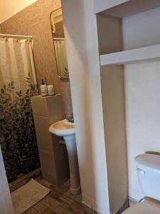 La salle de bains est pourvue de toilettes et d'un lavabo. dans l'établissement Estudio Bengala, à San José del Cabo