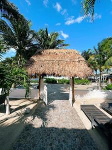 a straw hut with a bench and palm trees at Casa Playa Holbox! in Holbox Island