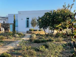 een tuin voor een wit gebouw bij Eco-Luxe Retreat in Ano Petali, Sifnos in Apollonia