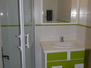 uma casa de banho com um lavatório e um chuveiro em Appartement Les Orres, 3 pièces, 8 personnes - FR-1-322-586 em Les Orres