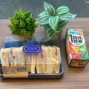a plastic container of sandwiches on a table with a plant at Nplus HOTEL Higashikanda-akihabara in Tokyo