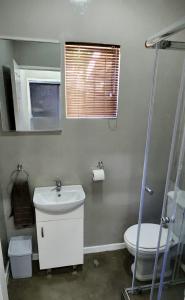 a bathroom with a sink and a toilet and a mirror at Cottage Rose in Bloemfontein