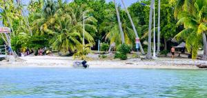 Ein Mann auf einem Boot am Strand mit Palmen. in der Unterkunft Studio Nui 1 Room Fare Tepua Lodge in Uturoa