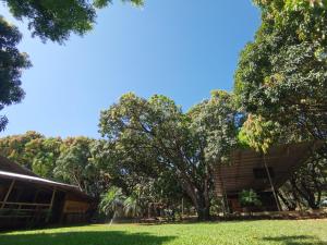 un árbol en el patio de un edificio en Rusteak Living Retreat in natural and peaceful setting in Canafistula, en Cañafístula